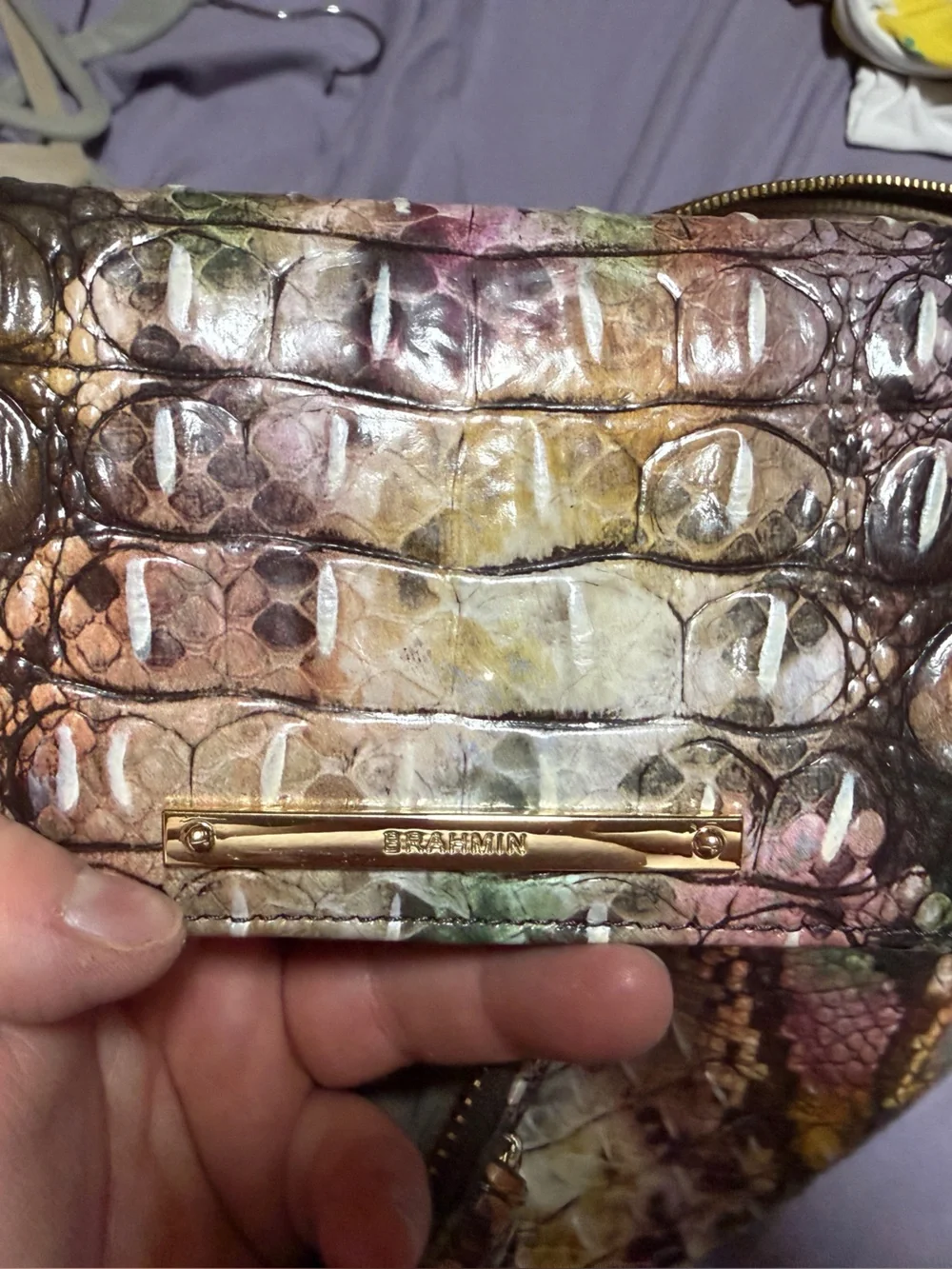 Brahmin colorful croc